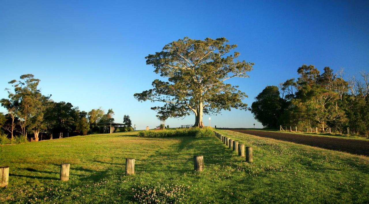 Oaks Toowoomba Hotel Luaran gambar